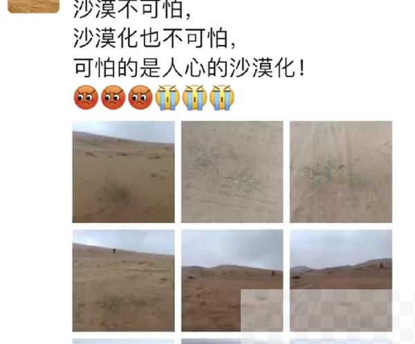 沙漠上万棵治沙植物被越野车碾轧 网友愤怒:谁压了我的蚂蚁森林